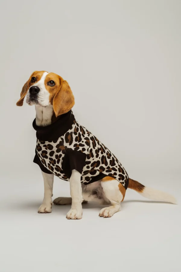 Pull en maille léopard