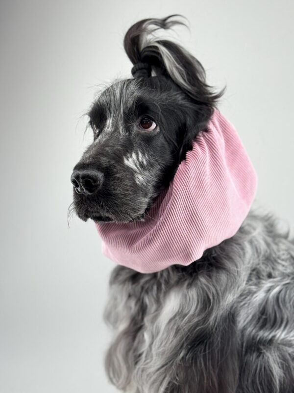 Snood en velours côtelé Rose poudré – Image 3