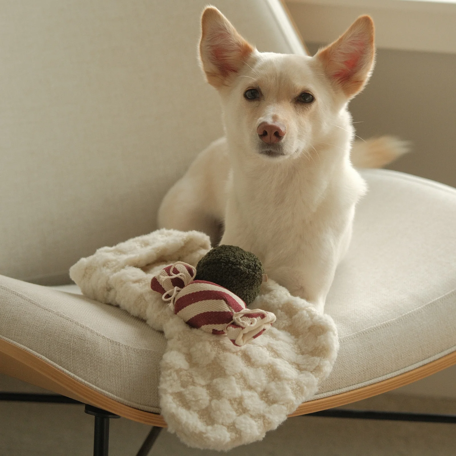 Jouet de fouille Bas de Noël – Image 4