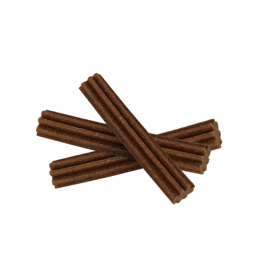 Sticks dentaires – Image 2