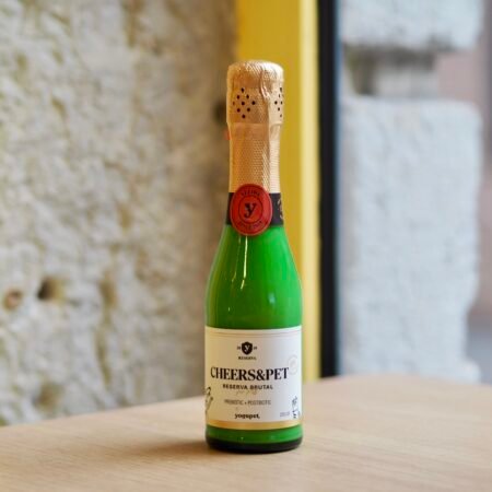 Kéfir de lait de chèvre - Édition de Noël