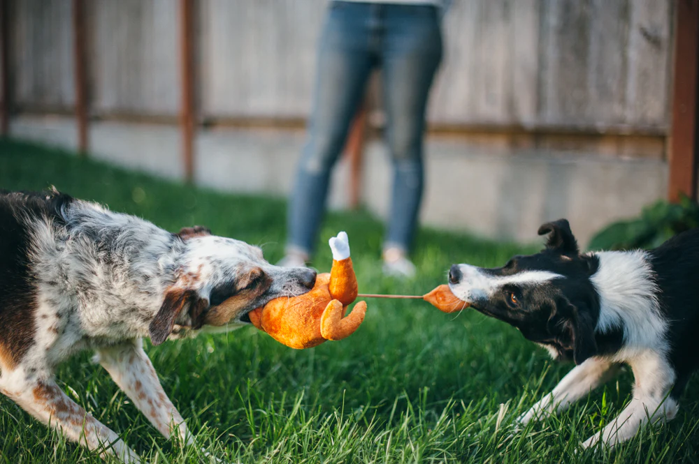 Peluche Dinde festive couinante – Image 4