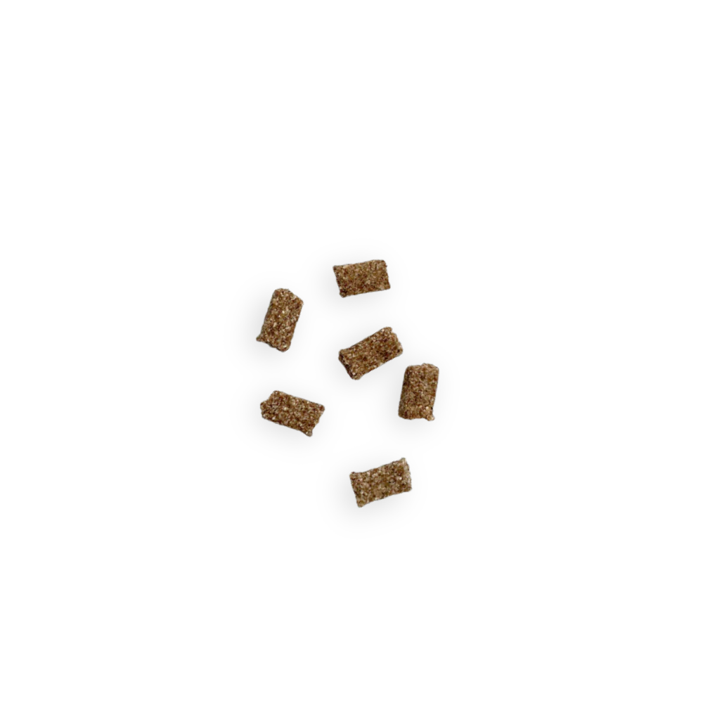 Friandises Éducation – Image 2