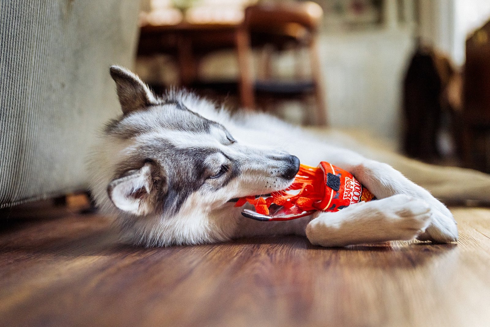 Jouet de fouille Bol de nouilles – Image 4