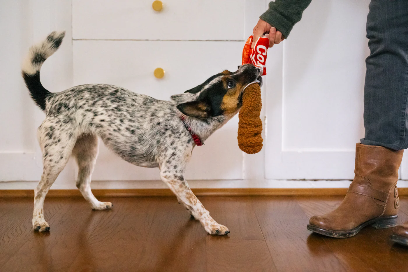 Peluche de fouille Canette de soda – Image 2
