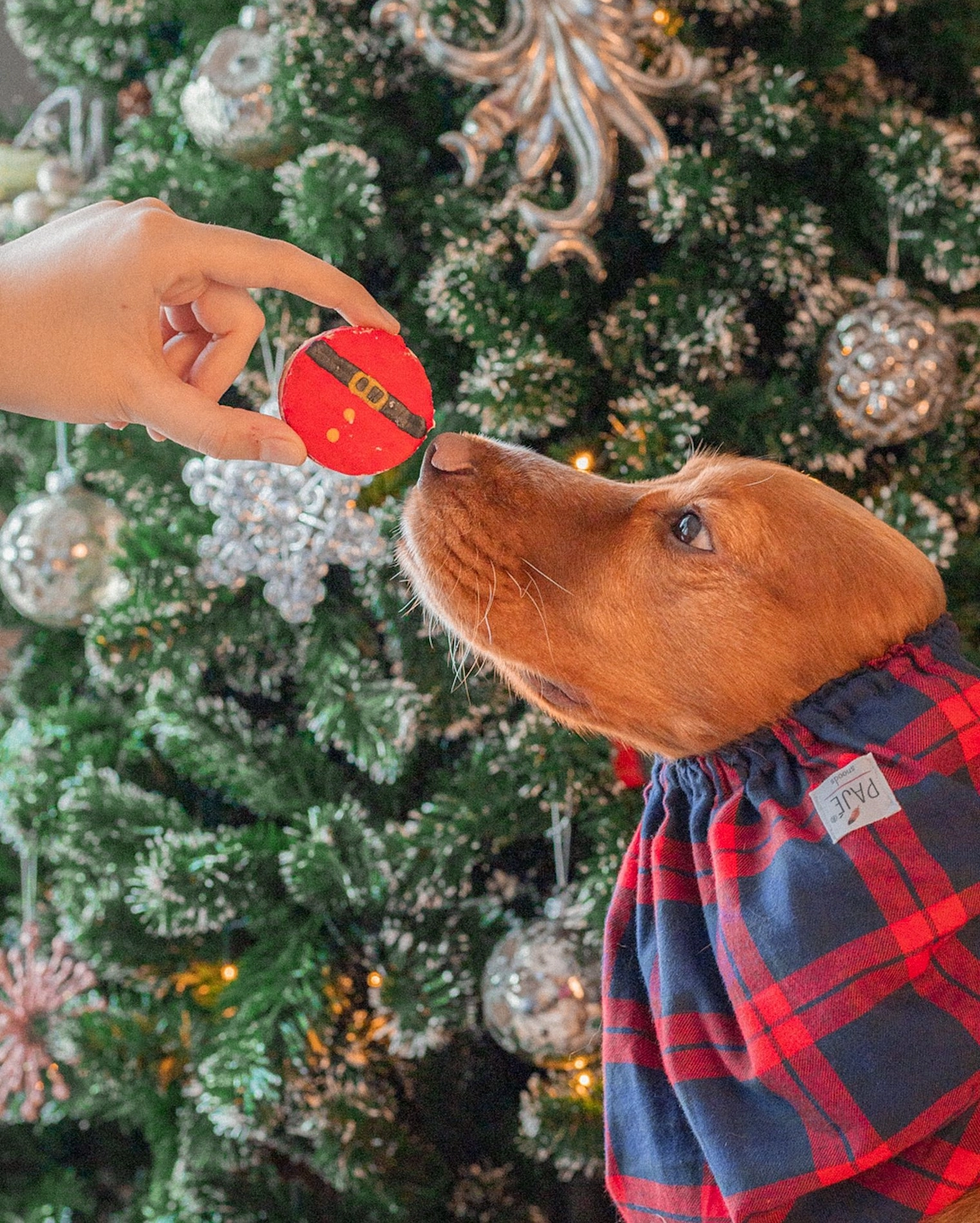 Coffret de biscuits “Père Noël” – Image 2