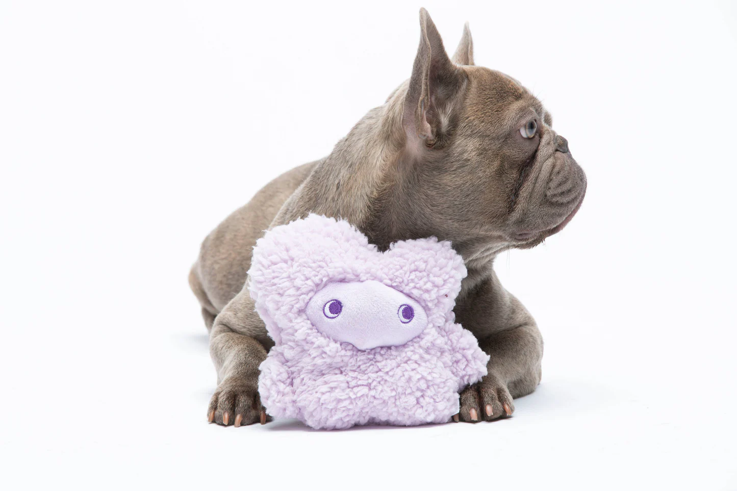 Peluche apaisante Nocciolino – Image 3