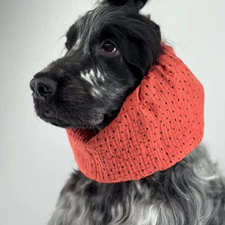 Snood en gaze de coton léger et respirant pour chien – Terracotta à pois noirs