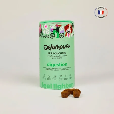Compléments alimentaires digestion