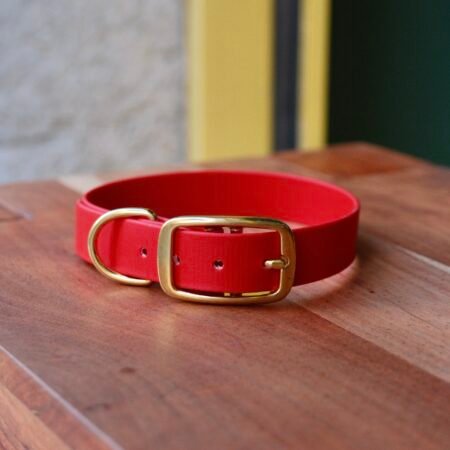 Collier en BioThane® rouge vif