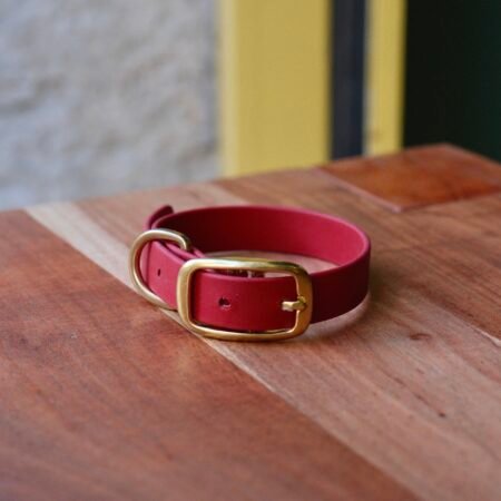 Collier en BioThane® rouge foncé