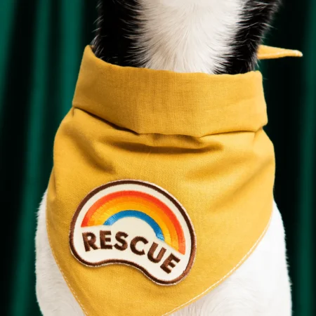 Badge à thermocoller sur bandana Rescue