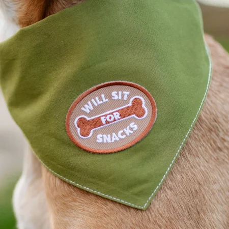 Badge à thermocoller sur bandana Will Sit for Snacks