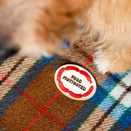 Badge à thermocoller sur bandana Food Motivated