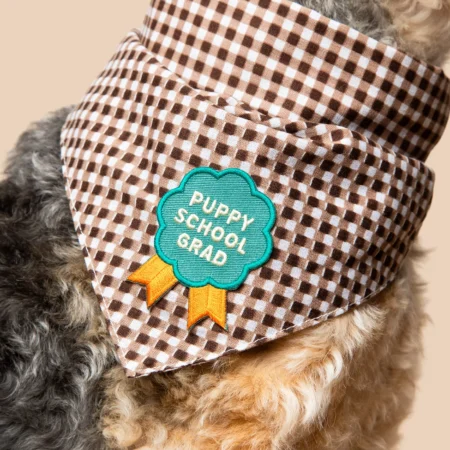 Badge à thermocoller sur bandana Puppy School Grad