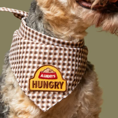 Badge à thermocoller sur bandana Always Hungry